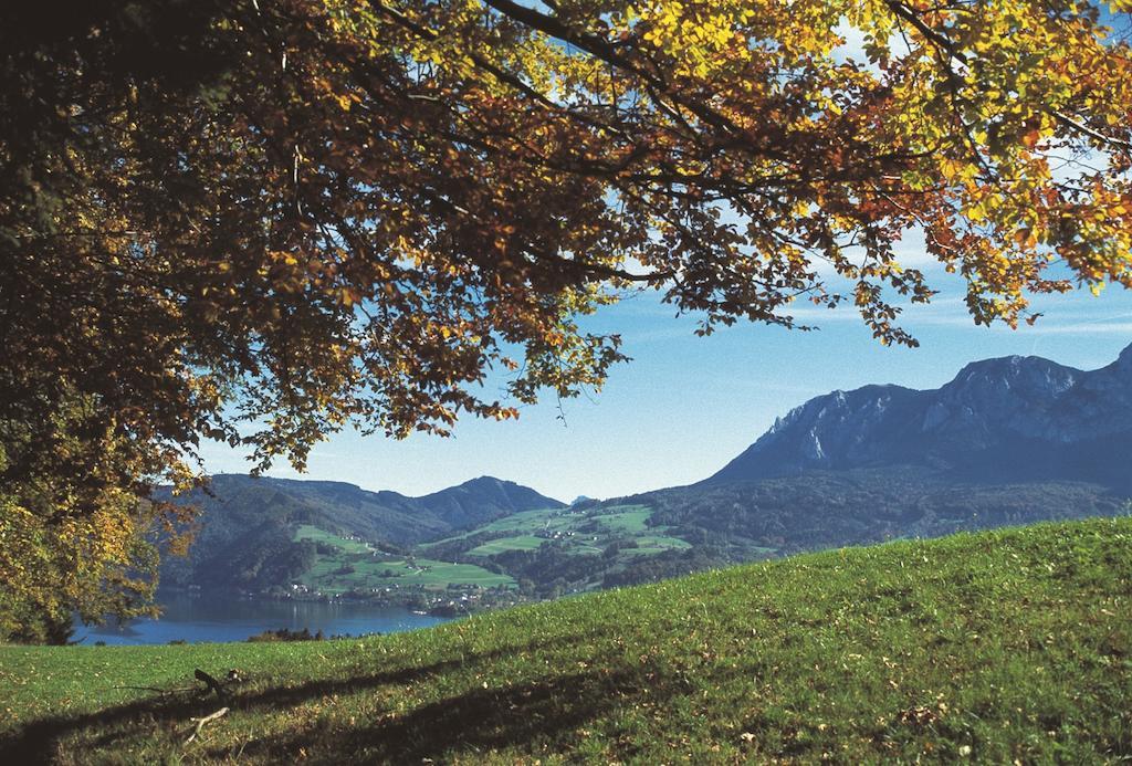 Haus Gruber Hotel Attersee Екстериор снимка
