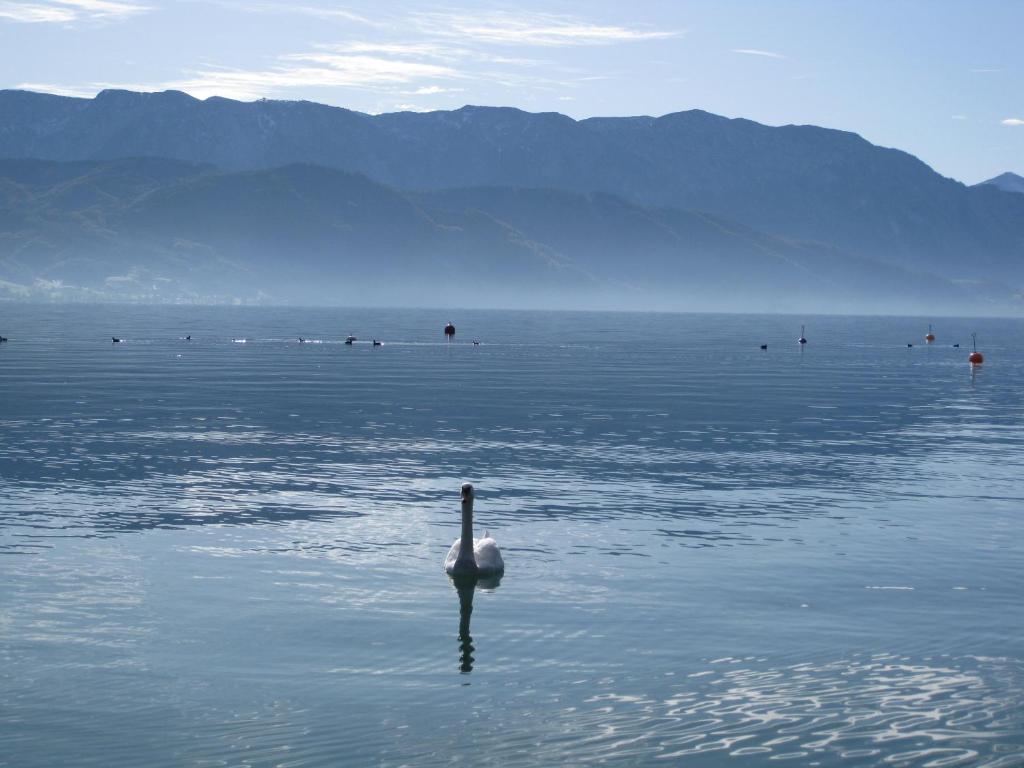 Haus Gruber Hotel Attersee Екстериор снимка